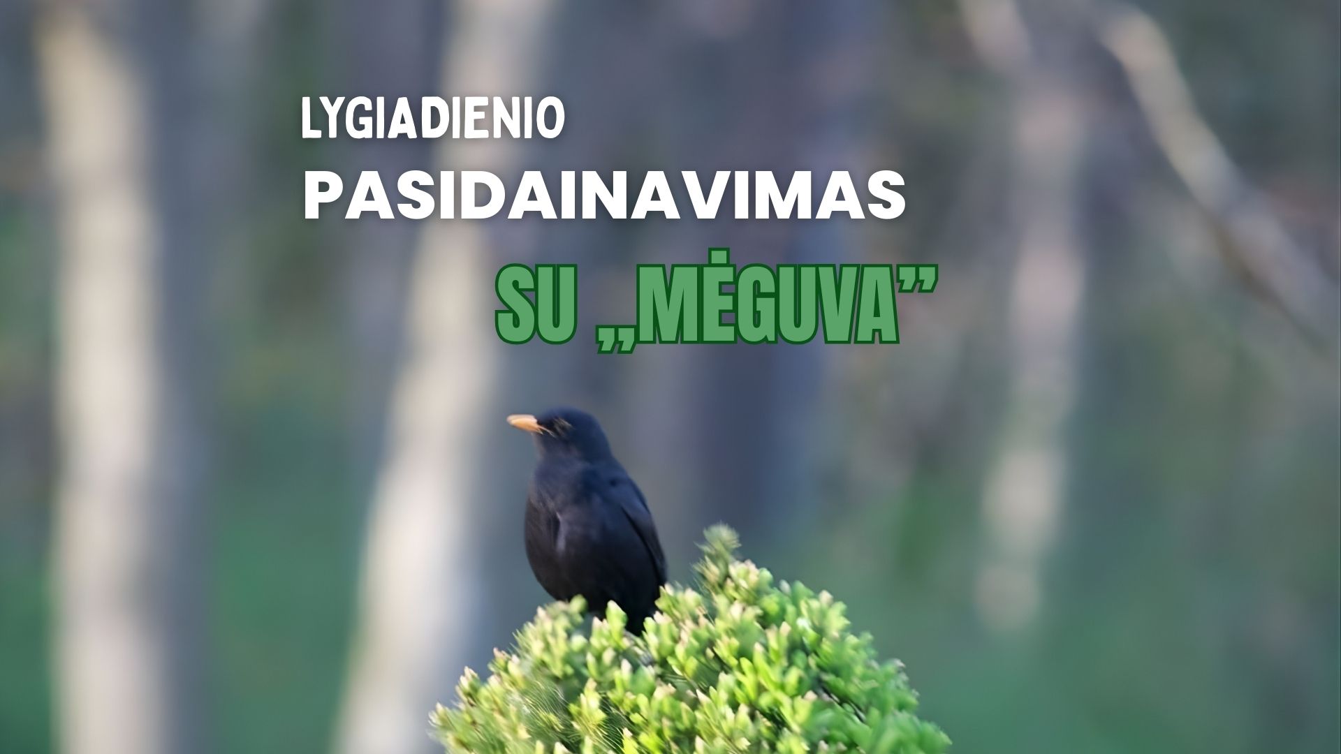 Lygiadienio pasidainavimas su „Mėguva“